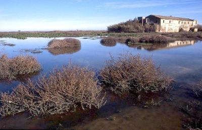 Sentina, rinnovata la convenzione con le Guardie Ecologiche  