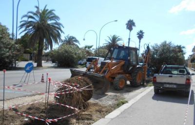 San Benedetto, nuove palme sul lungomare