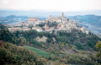 Entroterra ascolano, non si fermano attacchi dei lupi alle greggi