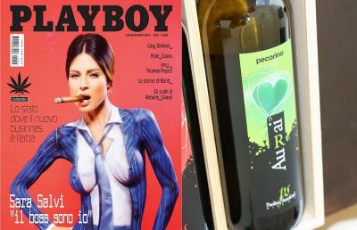 Il vino Pecorino di Offida finisce su Playboy
