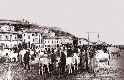 Grottammare: Fiera di San Martino, stabilito il piano di vigilanza