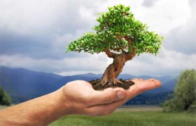 Grottammare, arriva la ''Festa dell’Albero'' in versione itinerante