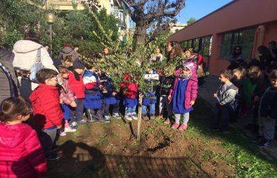 Grottammare: ''Festa dell’Albero'', scuole più verdi