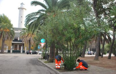 San Benedetto, i rifugiati politici al lavoro nel centro cittadino 