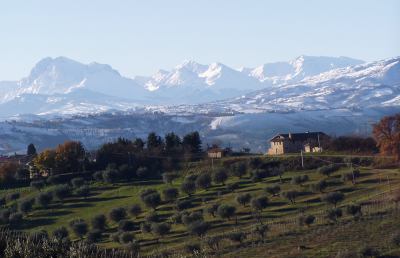 Ranking Qualità della Vita, balzo in avanti della provincia di Ascoli