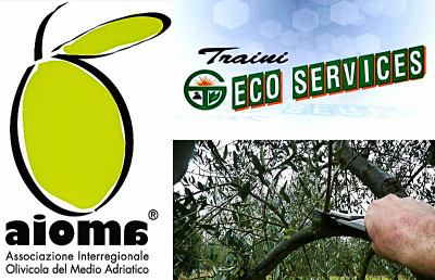Torna la “Giornata Potatura Olivo” all'Eco Services di Giuseppe Traini