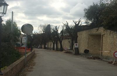 Grottammare, attuazione lavori sul verde pubblico cittadino