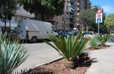  San Benedetto: viale De Gasperi, nuove piante e via le biciclette dallo spartitraffico