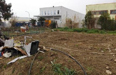 San Benedetto: Agraria, si sistema l’area adiacente al campo da rugby