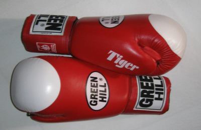 Boxe, al ''Città delle Stelle'' sfida tra pugili di Marche e Umbria