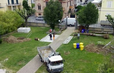 Grottammare, sostituzione dei palmizi abbattuti per il punteruolo rosso