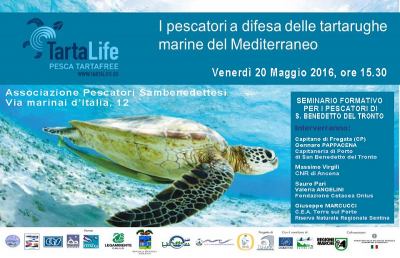 Riserva Sentina, Venerdì 20 sarà liberata una tartaruga 