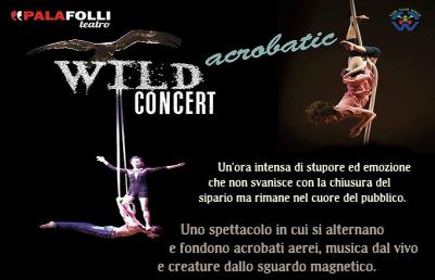 PalaFolli: Wild Acrobatic Concert, uno spettacolo magico ed innovativo 