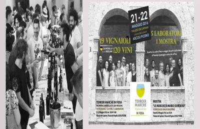 Ascoli, parte la 2ª edizione di “Terroir Marche – Vini e vignaioli bio in fiera”