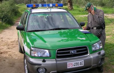 Forestale Ascoli, sequestrati tartufi raccolti in periodo di divieto