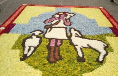 Infiorata 2016, tanti visitatori a Montefiore nonostante la pioggia