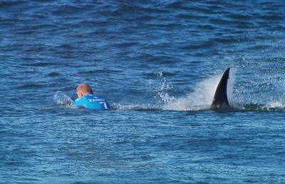 Surf, Fanning sopravvive all'attacco improvviso di uno squalo