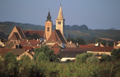 In Burgenland tra sapori e vigneti, alle porte dell’autunno