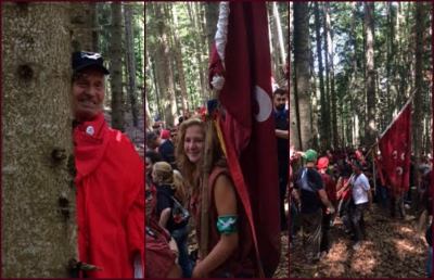 Festa Bella 2016: il taglio del Palo dà il via ufficiale ai festeggiamenti