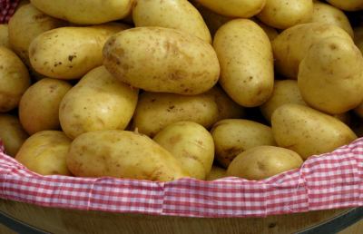 La pataticoltura nei Sibillini si evolve, otto imprese agricole creano società
