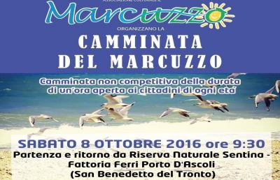 San Benedetto, tutto pronto per la ''Camminata del Marcuzzo''