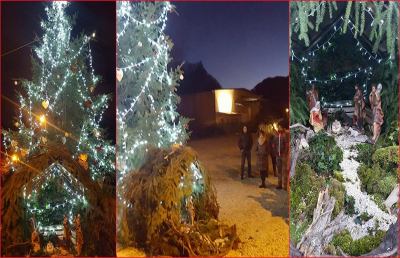 Terremoto, Pescara del Tronto illuminata da un bellissimo albero di Natale