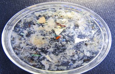 Università Politecnica delle Marche, allarme “zuppa di plastica” nel Mediterraneo