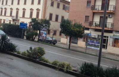 Maltempo a Grottammare, sospeso il servizio scuolabus nelle zone collinari 