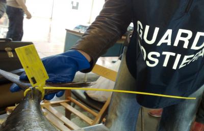 Operazione “Countdown” Guardia Costiera, tutela filiera pesca e salute pubblica
