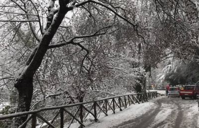 Neve, Provincia Ascoli mobilitata con tutto il personale e 44 ditte esterne
