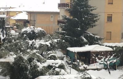 Prefettura Ascoli: “Tanti comuni piceni senza elettricità a causa della neve”