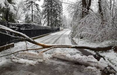 Emergenza neve e terremoto, scendono le utenze senza energia elettrica