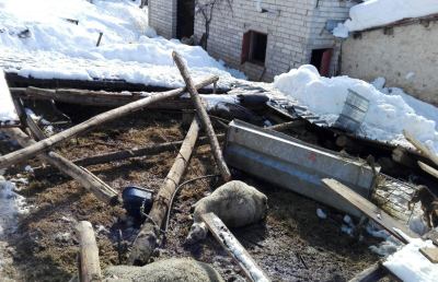 Emergenza neve-terremoto, Coldiretti lancia allarme stalle: ''Persi 2 milioni di latte''