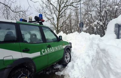 Neve, ad Acquasanta carabinieri forestali in soccorso di due aziende zootecniche