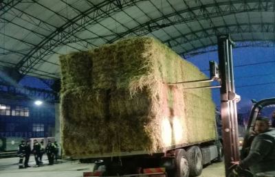 Protezione Civile Valdaso, tonnellate di fieno a zone colpite da maltempo