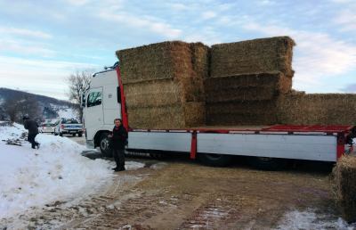 Emergenza neve-terremoto, donati 3300 quintali di fieno ad allevatori marchigiani