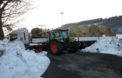 Terremoto, per allevatori marchigiani 914 balloni di fieno e 128 di paglia