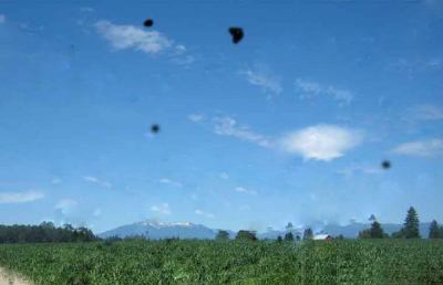 Occhi, una nuova tecnica toglie le ''mosche volanti'' dalla vista