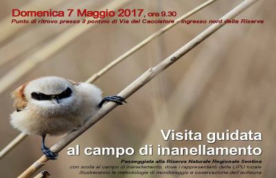 Riserva Sentina, appuntamento con il ''birdwatching''