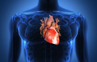 Giornate europee scompenso cardiaco, campagna di sensibilizzazione nelle farmacie del Piceno