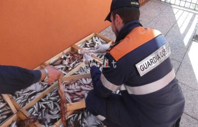 Capitaneria di Porto San Benedetto, multa pesante a venditore abusivo di prodotti ittici