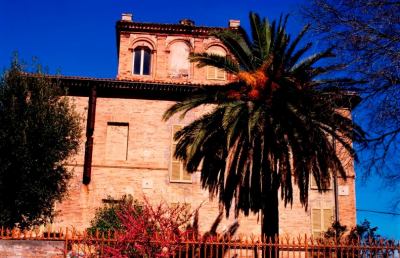 Grottammare, crolla albero monumentale: tanto spavento ma nessun ferito