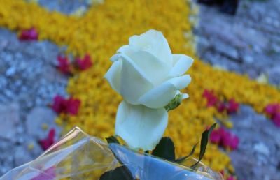 ''Rifioriamo insieme'', dopo il sisma un fiore dedicato alla Madonna dell'Ambro