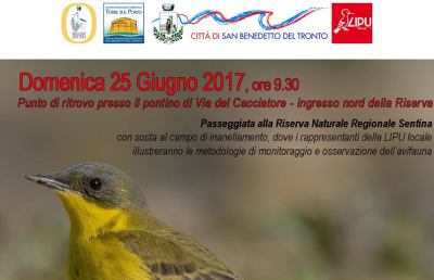 Riserva Naturale Sentina, ancora un appuntamento dedicato al ''birdwatching''