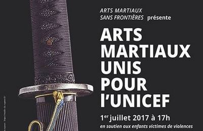 ''Arti Marziali Unite per l'Unicef'' in Francia con il maestro ascolano Brandozzi