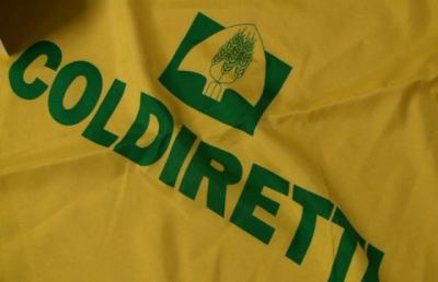 Coldiretti Marche, 30 milioni di euro di danni a causa di caldo e siccità
