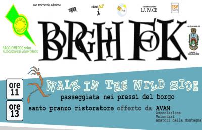 Roccafluvione, l'associazione Raggio Verde rinnova appuntamento con “Borghi Folk”