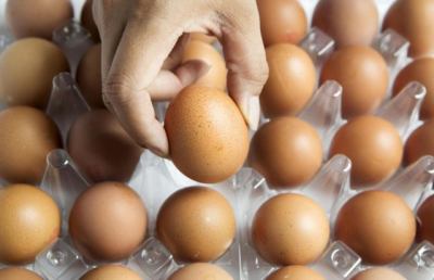 Scandalo uova al fipronil. Nessun allarme per i consumatori, ma resta alta vigilanza sanitaria Nas
