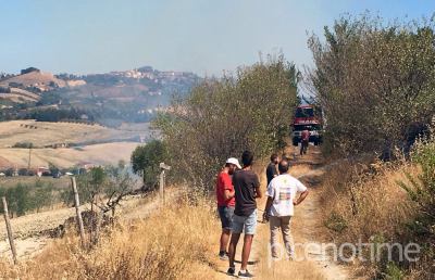 Incendio nella zona alta di Castel di Lama, vigili del fuoco in azione