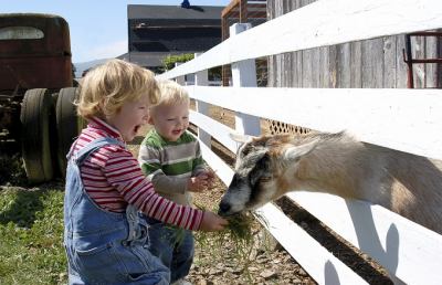 Agriturismi e bambini: le Marche sono la terza regione più ''family friendly''
